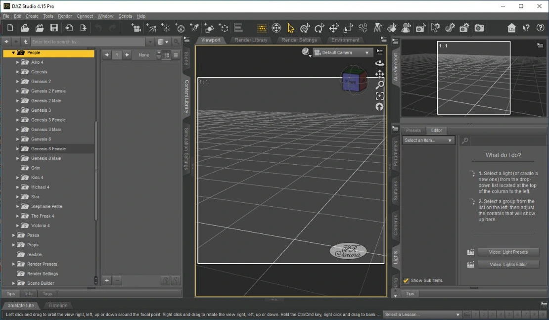 Screen Arbeitsbereich Daz Studio Pro 4.15