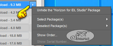 DIM Download-Tab Kontextmenü Screen DIM Download-Tab Kontextmenü