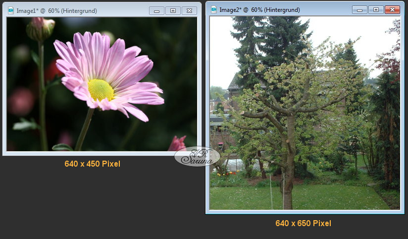 PSP - Alphakanal-Auswahl - Ausgangssituation der Bilder Screen PSP - Alphakanal-Auswahl - Ausgangssituation der Bilder