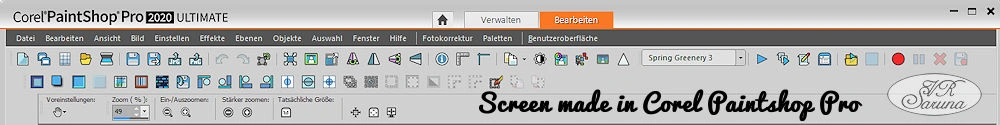 Screen PSP - Menüleiste Paintshop Pro 2020 Ultimate