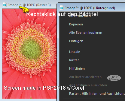 Screen PSP - Kontextmenü im Bildtitel