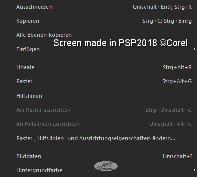 PSP - Kontextmenü im Bildtitel - weitere Optionen Screen PSP - Kontextmenü im Bildtitel - weitere Optionen