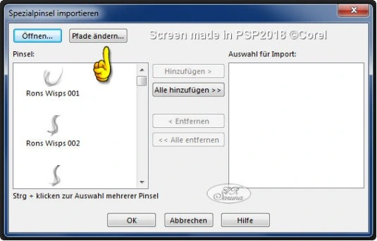 Screen PSP - Spezialpinsel importieren - Pfad ändern