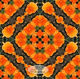 ff_flip_and_rotate_kaleidoscop.jpg