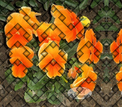 ff_woven_image.png